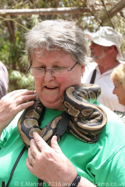 Holding a python at the Snake Farm